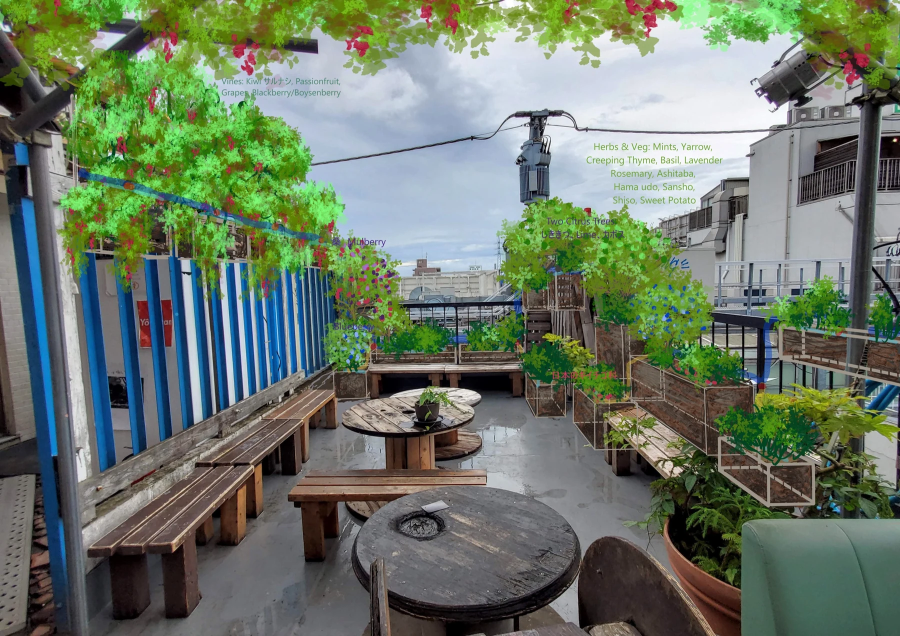 Sound Studio Dom rooftop concept showing edible and pollinator-supporting plants labeled for the client.